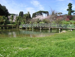 Lo stagno di Villa Doria Pamphili